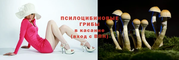 ешки Горно-Алтайск