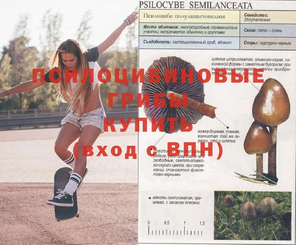 ешки Вяземский