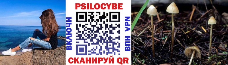 Псилоцибиновые грибы прущие грибы  Звенигород 